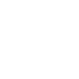 Boese VA logo